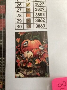 #842 stamped cross stitch kit new and unopened